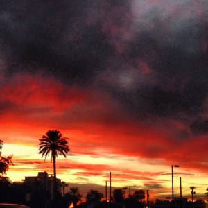 Phoenix Sunset